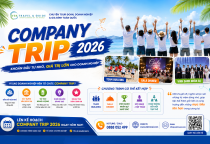 Vì Sao Doanh Nghiệp Nên Tổ Chức Company Trip? Bí Quyết Tổ Chức Hiệu Quả Và Tiết Kiệm Chi Phí