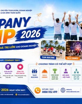 Vì Sao Doanh Nghiệp Nên Tổ Chức Company Trip? Bí Quyết Tổ Chức Hiệu Quả Và Tiết Kiệm Chi Phí